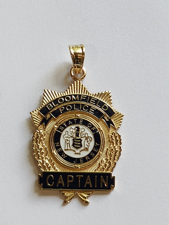 Customized Police badge with 3-D model, Available for enamel and badge numbers (PB-081)