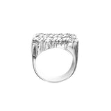 SNS 089c Sterling silver Two Name and CZs on First Letters and Tail Name Ring