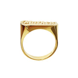 LEE107 Gold 10mm Plain Straight Tail Name Ring